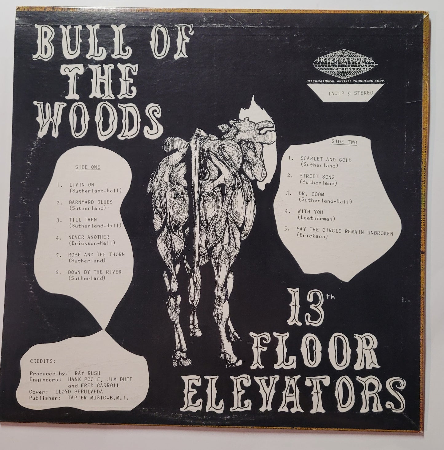 13th Floor Elevators : Bull of the Woods
