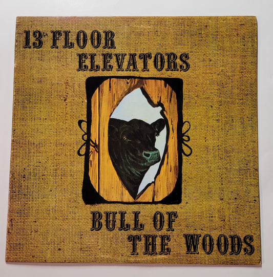 13th Floor Elevators : Bull of the Woods